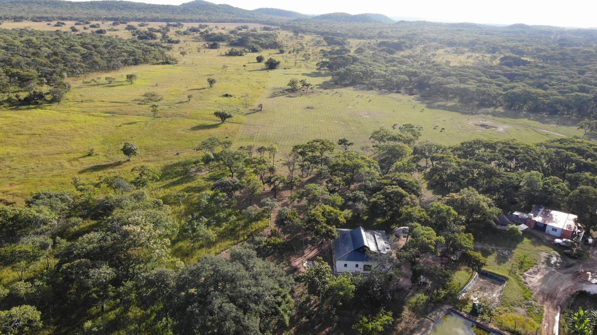 Warthog House-Cozy Country House, 3 Bed Mumbwa Kültér fotó