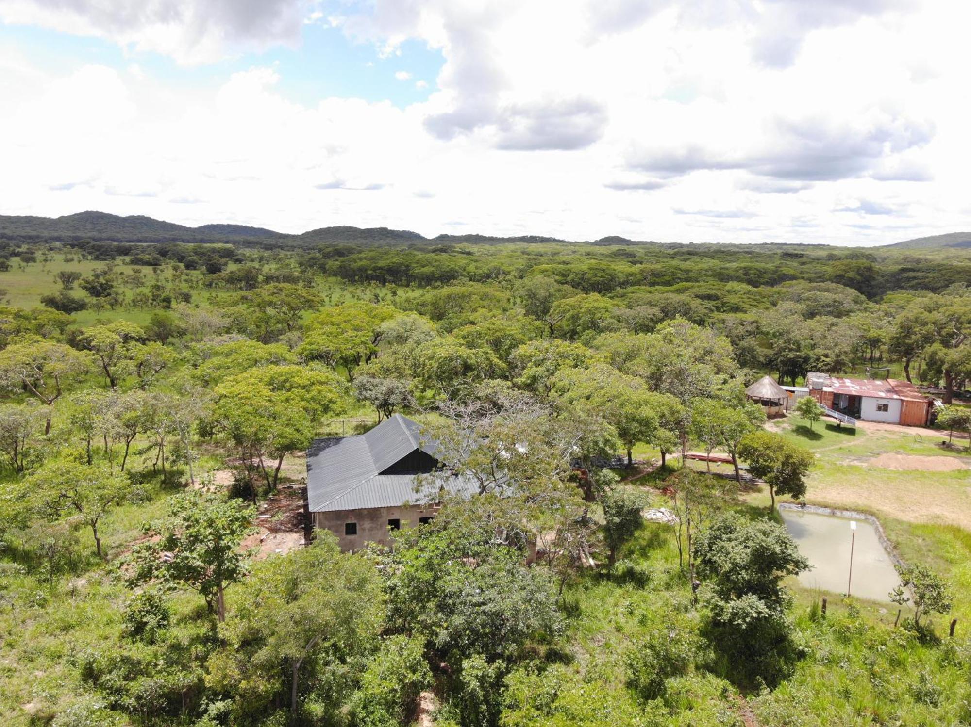 Warthog House-Cozy Country House, 3 Bed Mumbwa Kültér fotó
